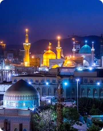 نمایندگی گیت فروشگاهی,نمایندگی دزدگیر