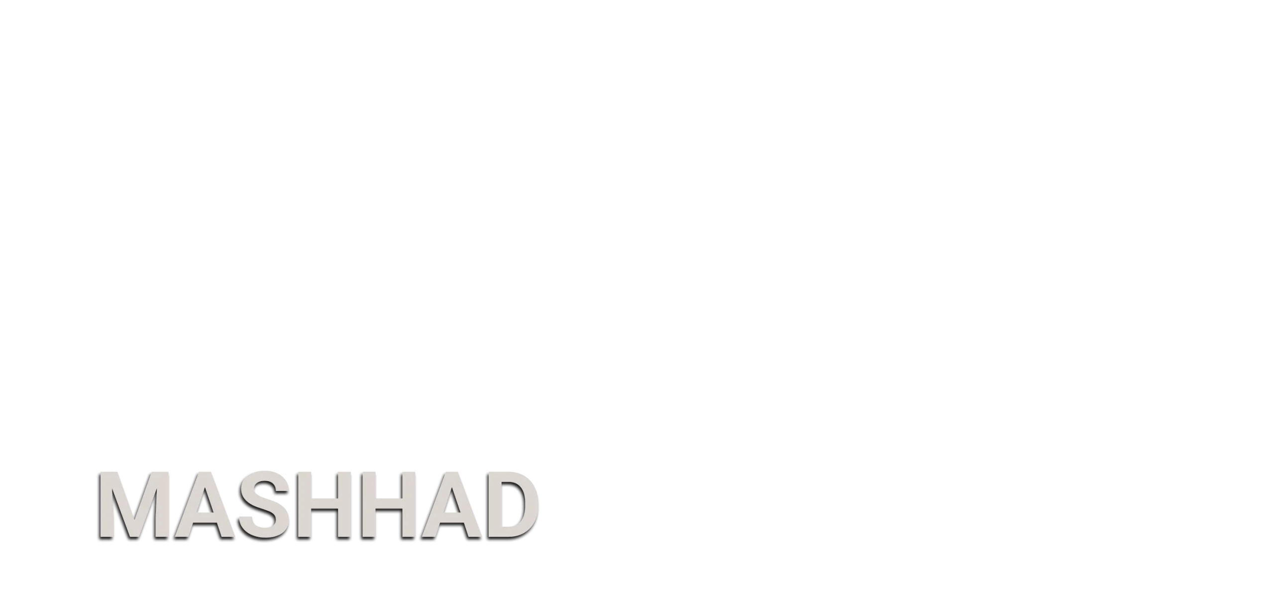 گیت فروشگاهی در مشهد 2 مشهد